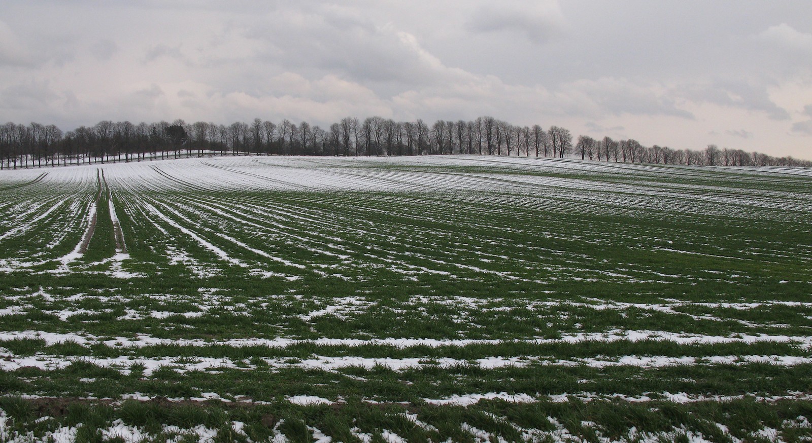 Kalte Landschaft