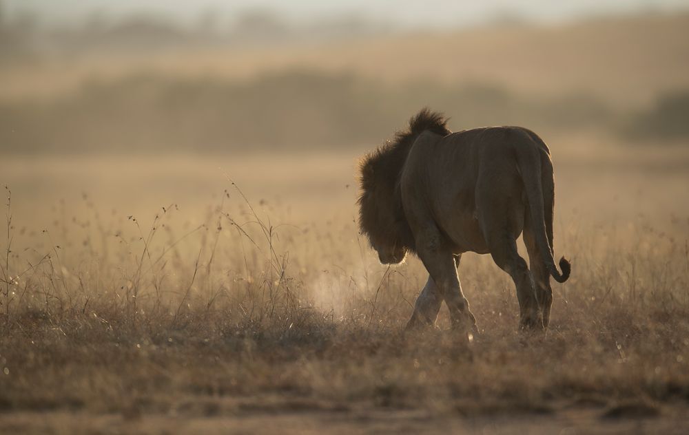 kalte Luft, warmer Atem Foto & Bild fotos, nikon, world Bilder auf kalte Luft, warmer Atem Foto & Bild fotos, nikon, world Bilder auf