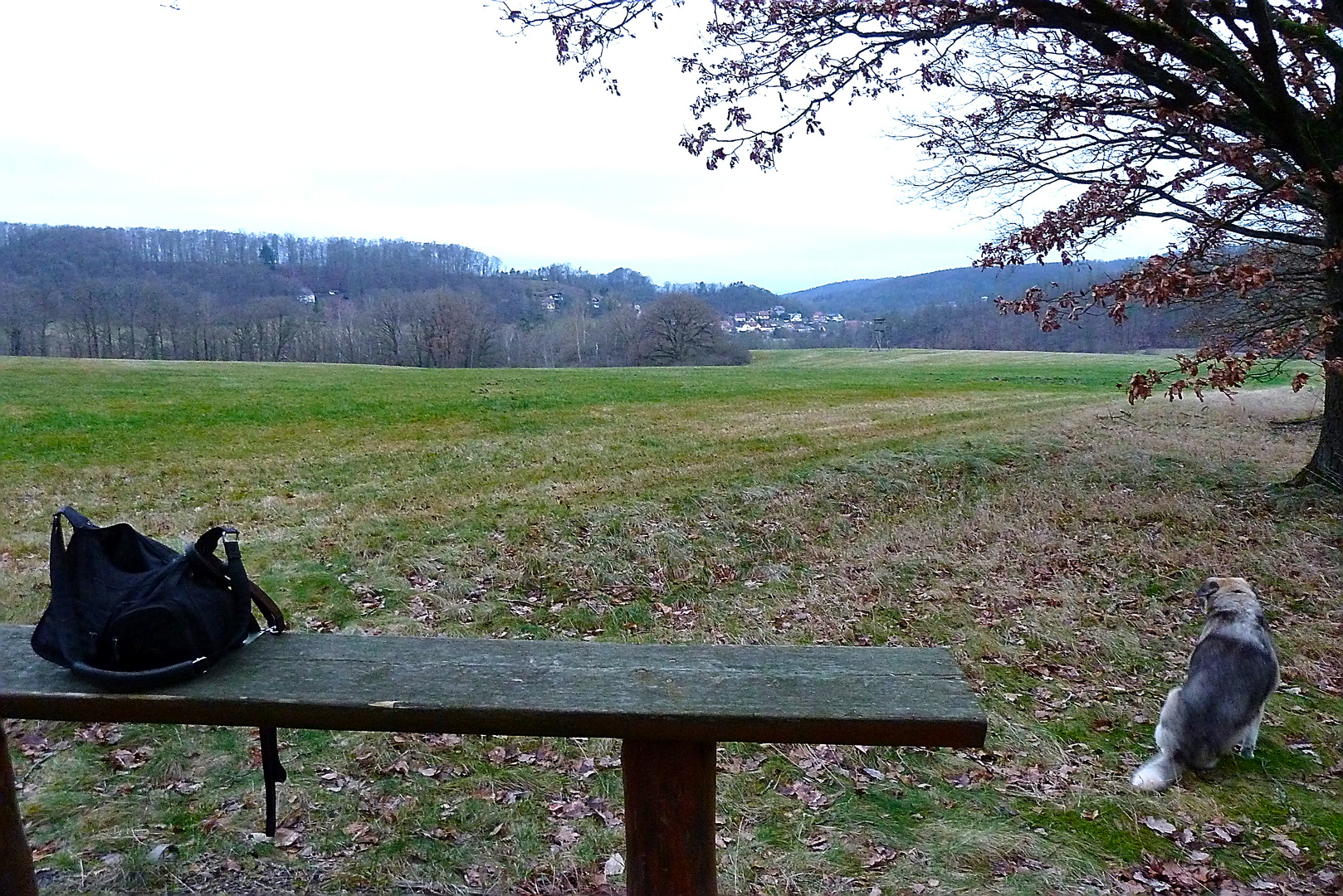 Kalte nasse Bank mit Aussicht