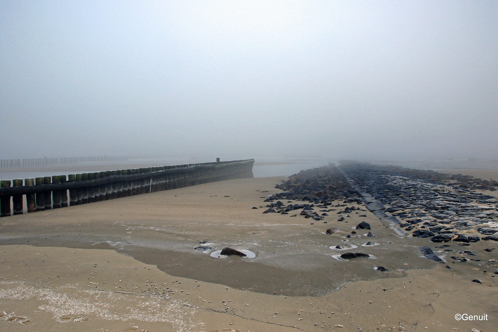 kalte Nebel wallen, frostig weht der Wind