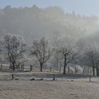 Kalte schöne Natur