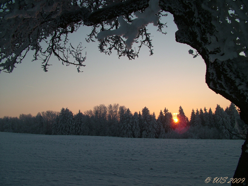 kalte Sonne