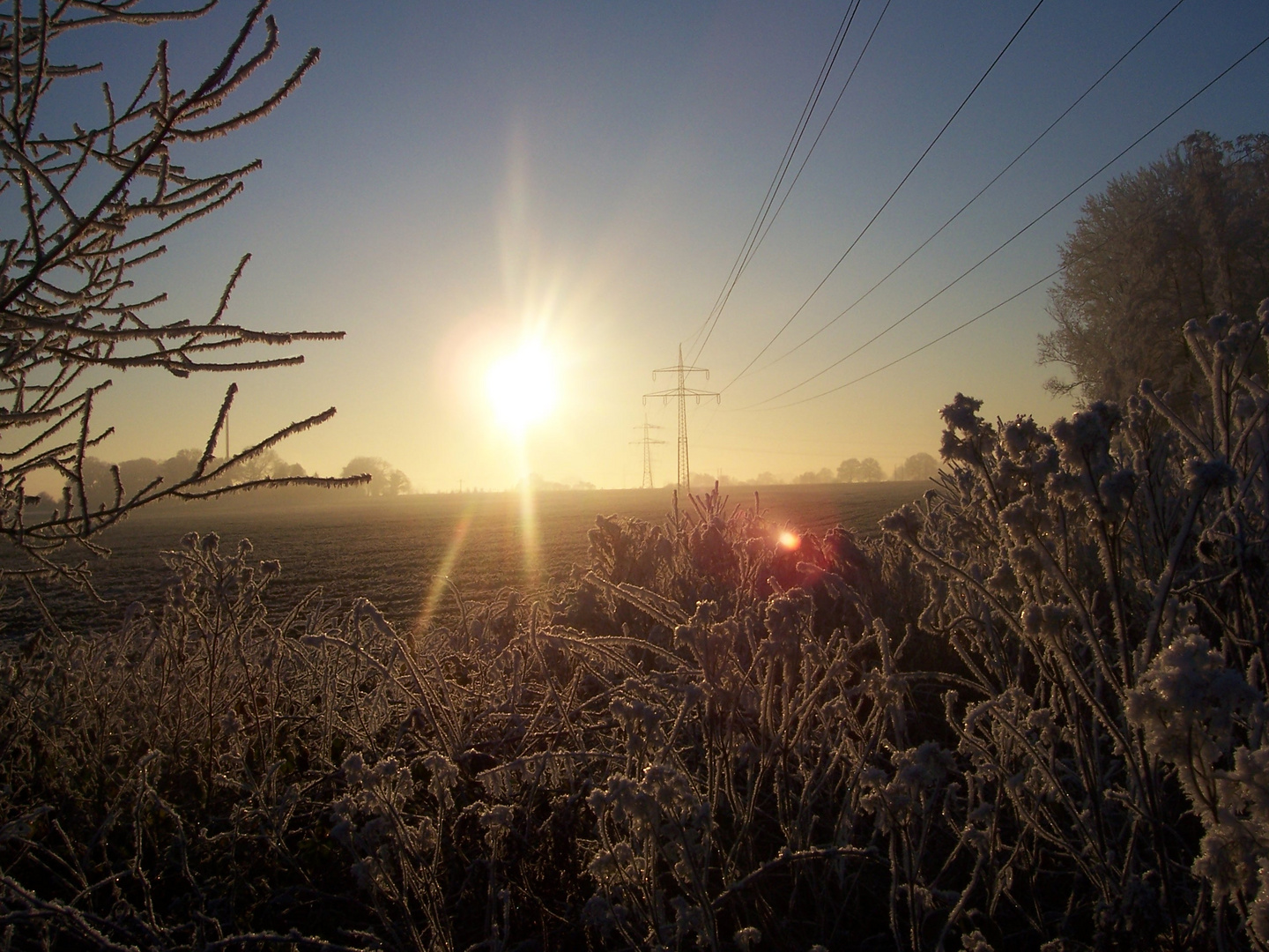 Kalte Sonne