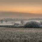 Kalte Sonne im Januar