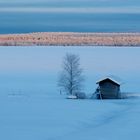 Kalte Stille am Vaalajärvi