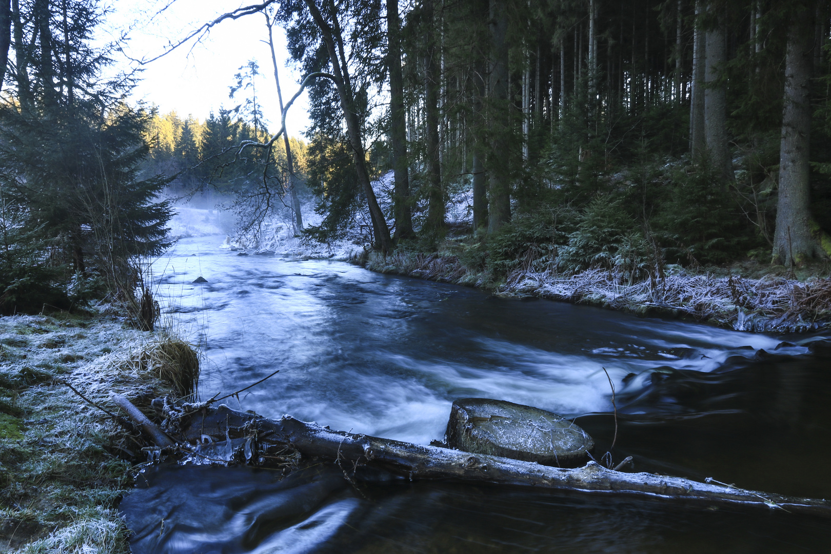 Kalte Stimmung am Waldbach