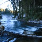 Kalte Stimmung am Waldbach