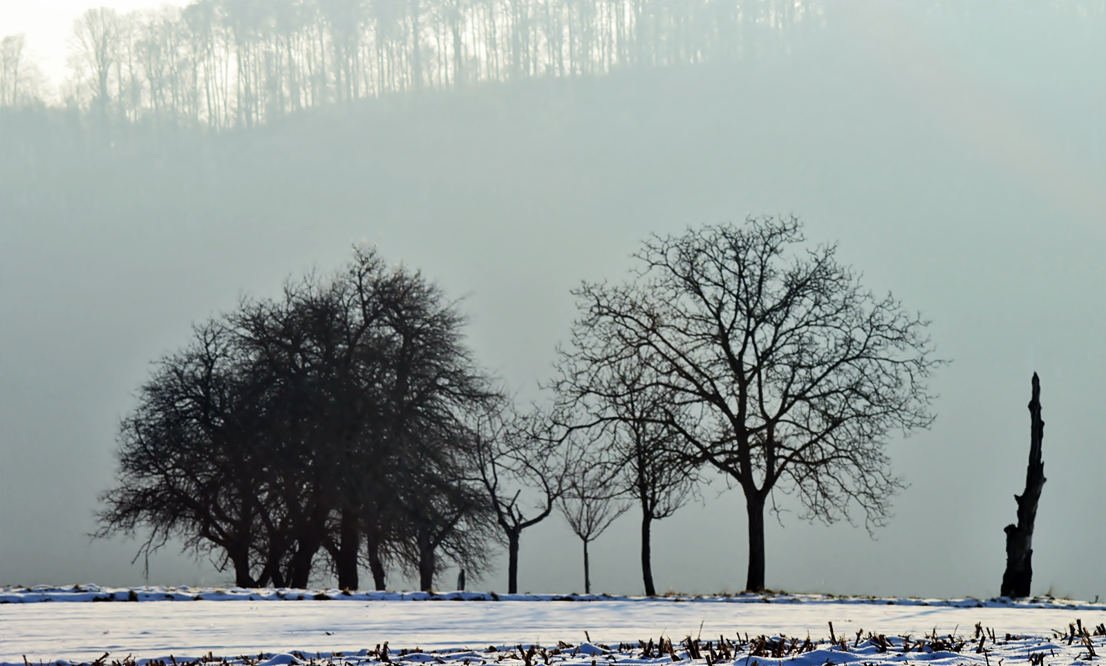 Kalte Winterluft ...