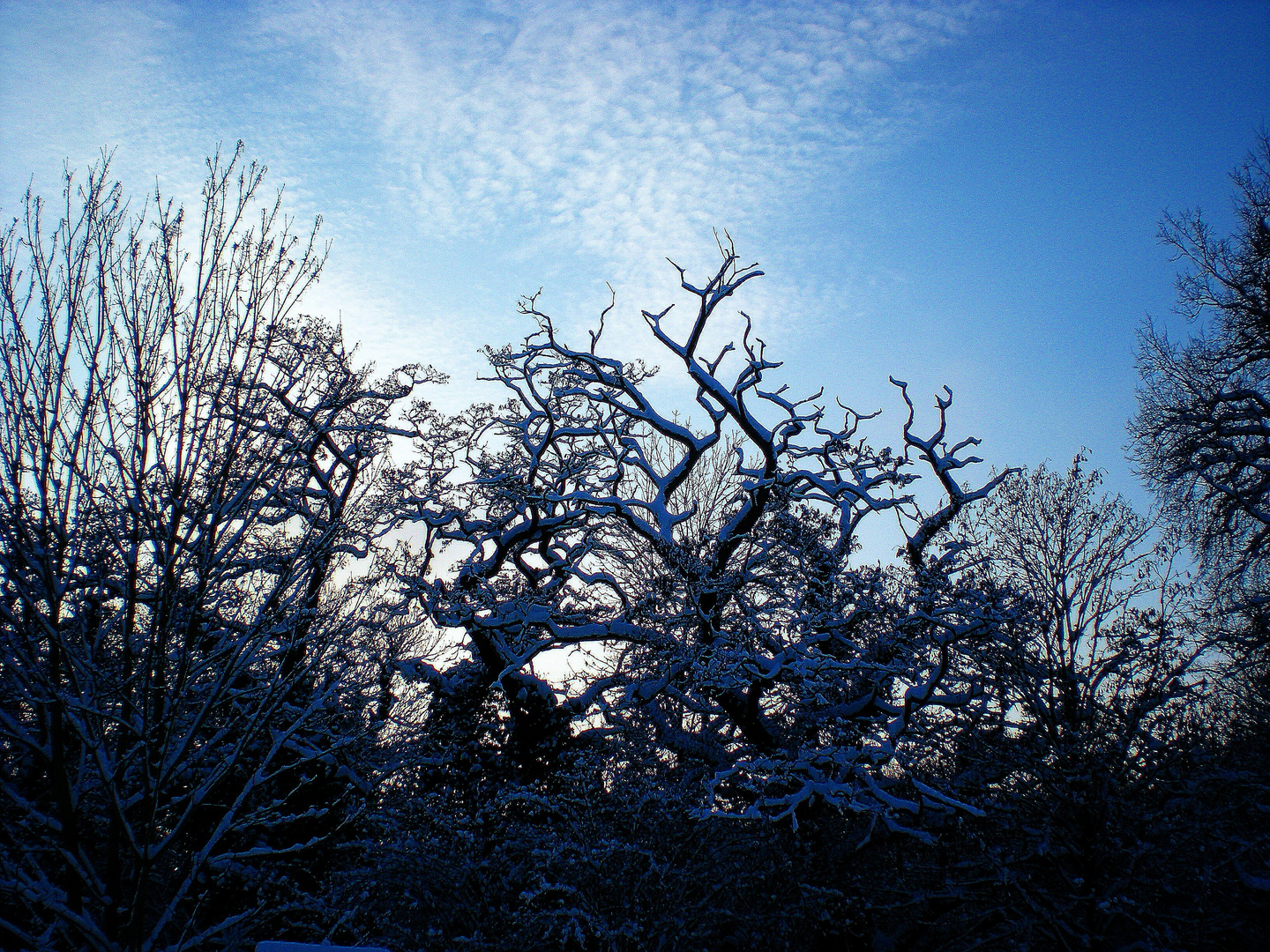 kalte Winterluft.