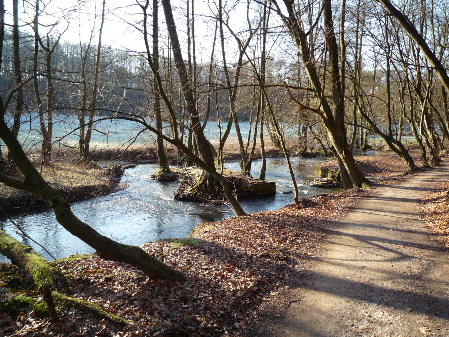 Kalte Wintersonne an der Düssel im Neandertal