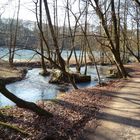 Kalte Wintersonne an der Düssel im Neandertal