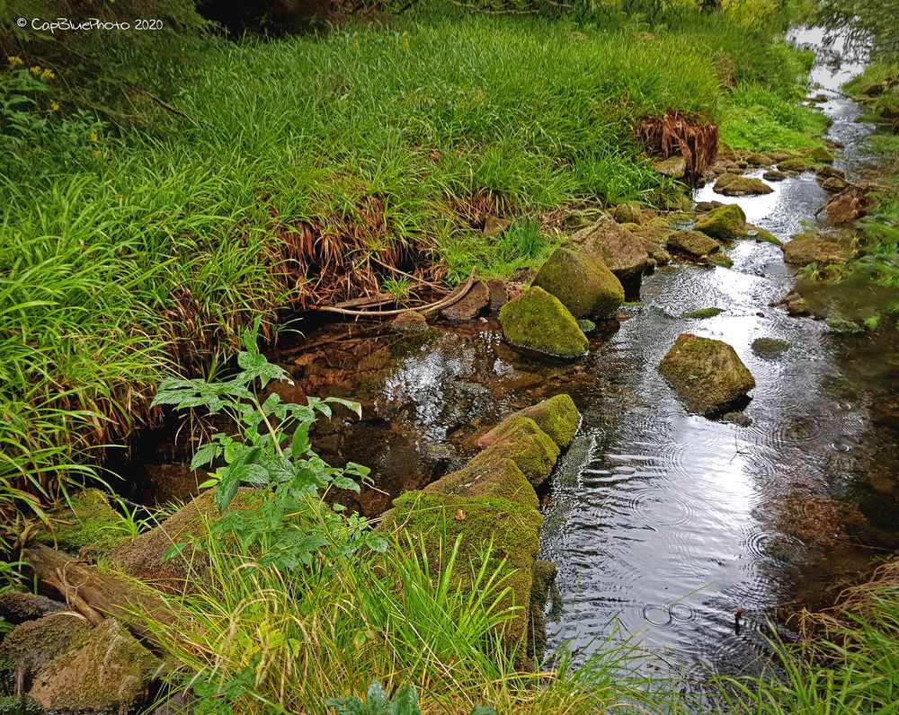 Kaltenbach Steine im Bachbett