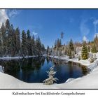 Kaltenbachsee bei Enzklösterle-Gompelscheuer