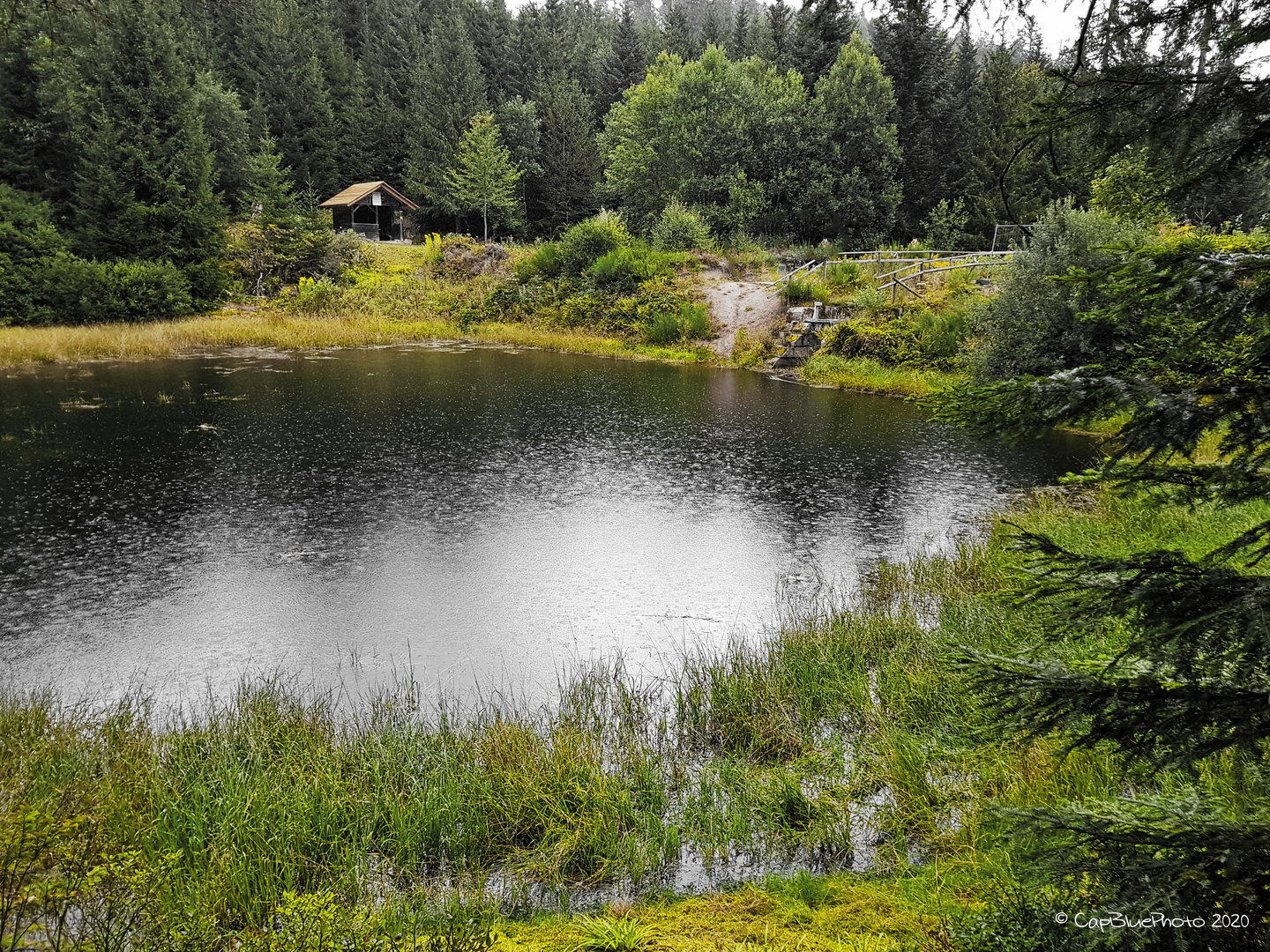 Kaltenbachsee bei Poppeltal