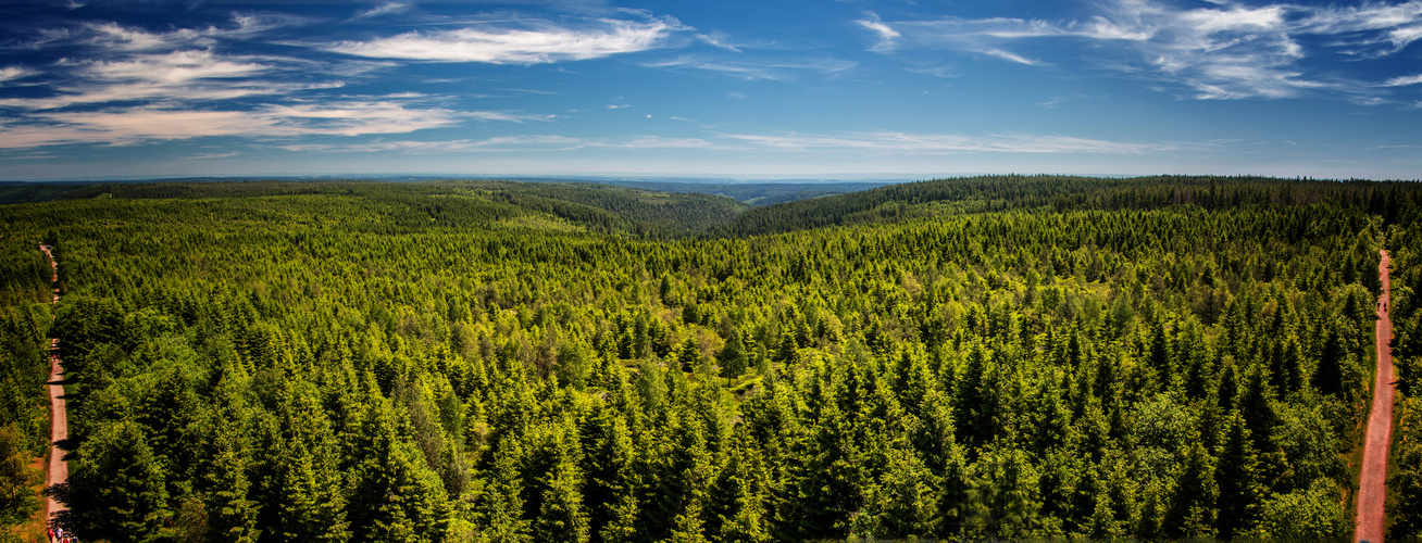 Kaltenbronn Panorama