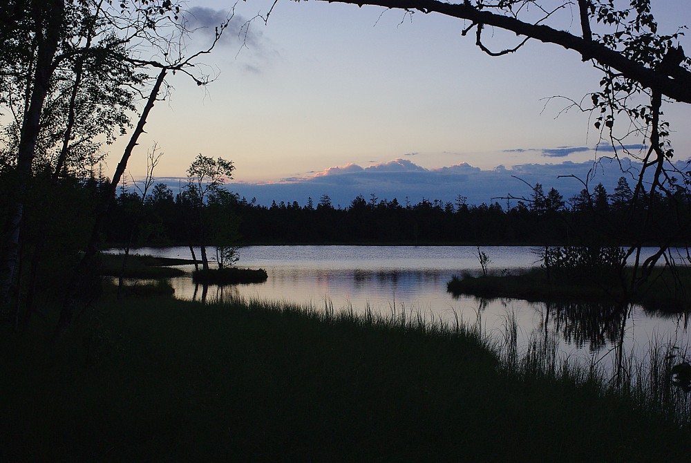 Kaltenbronner Wildsee am Morgen