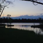 Kaltenbronner Wildsee am Morgen