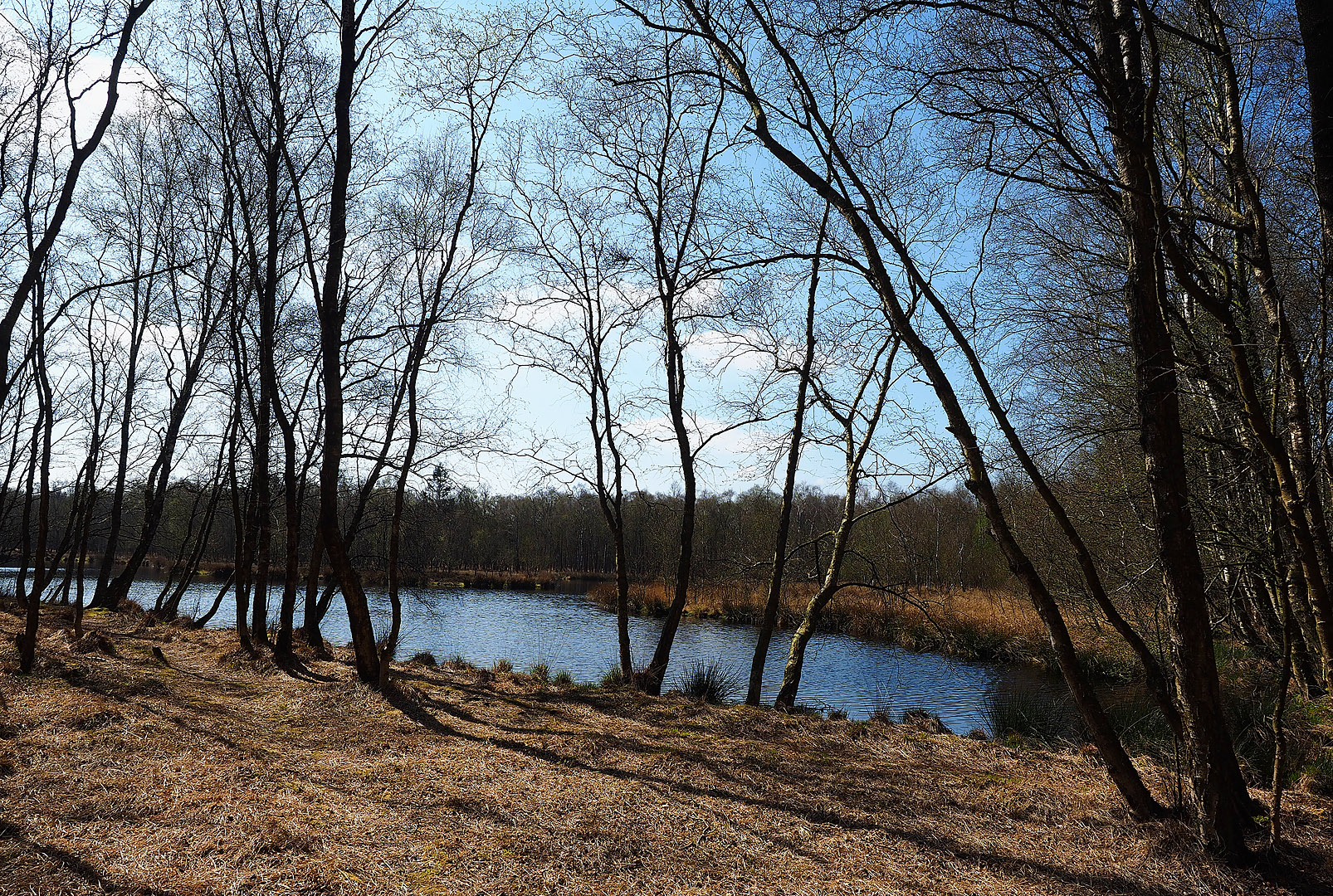 Kaltenhofer Moor