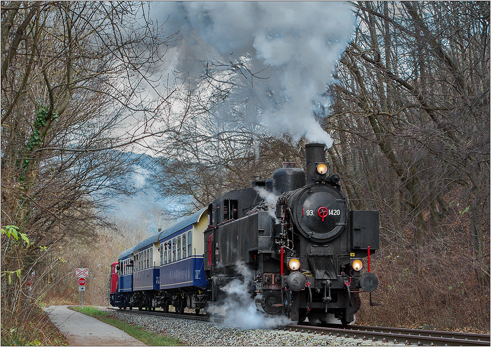 Kaltenleutgeberbahn - Advendfahrt