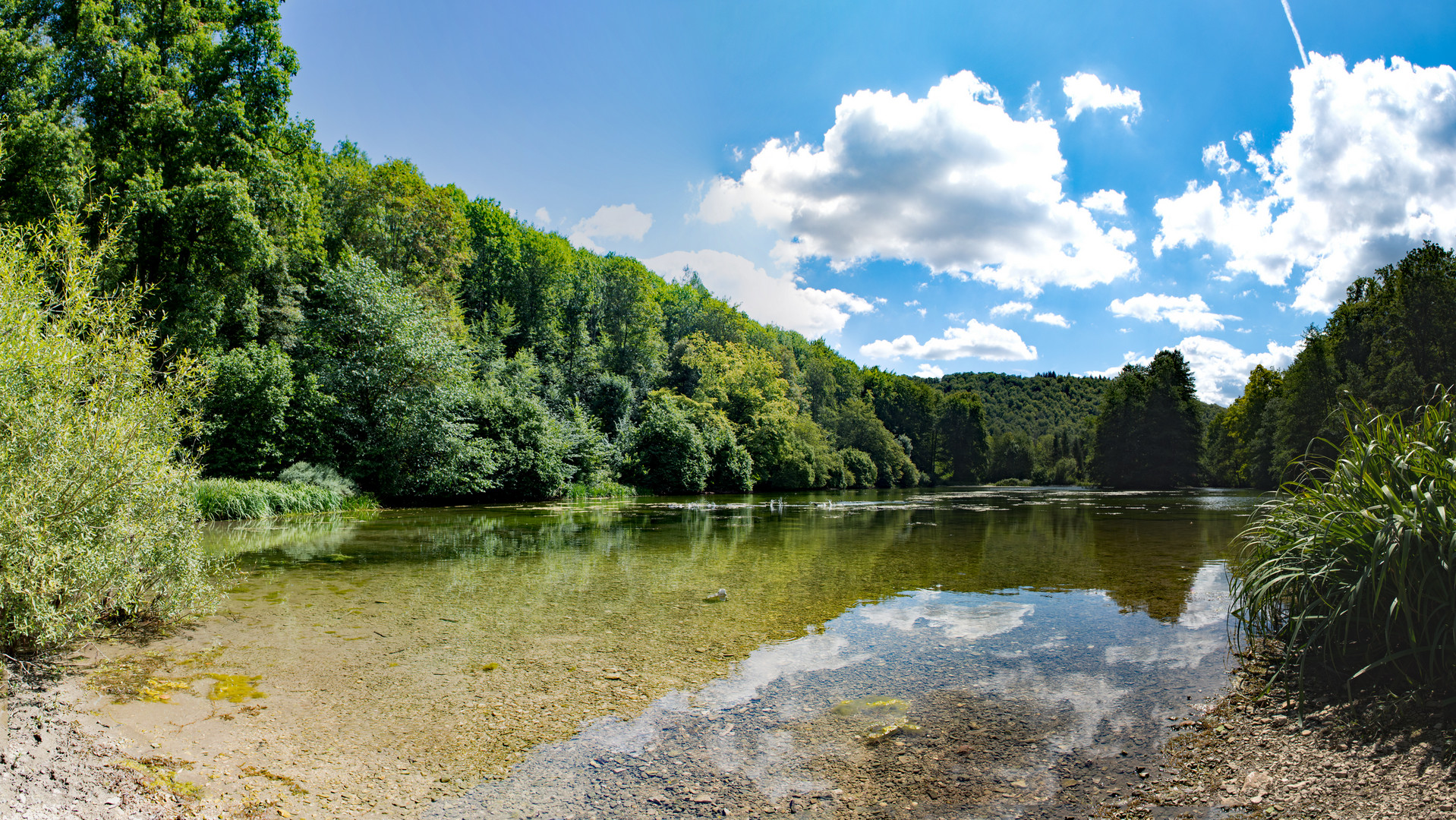 Kaltentalweiher 1