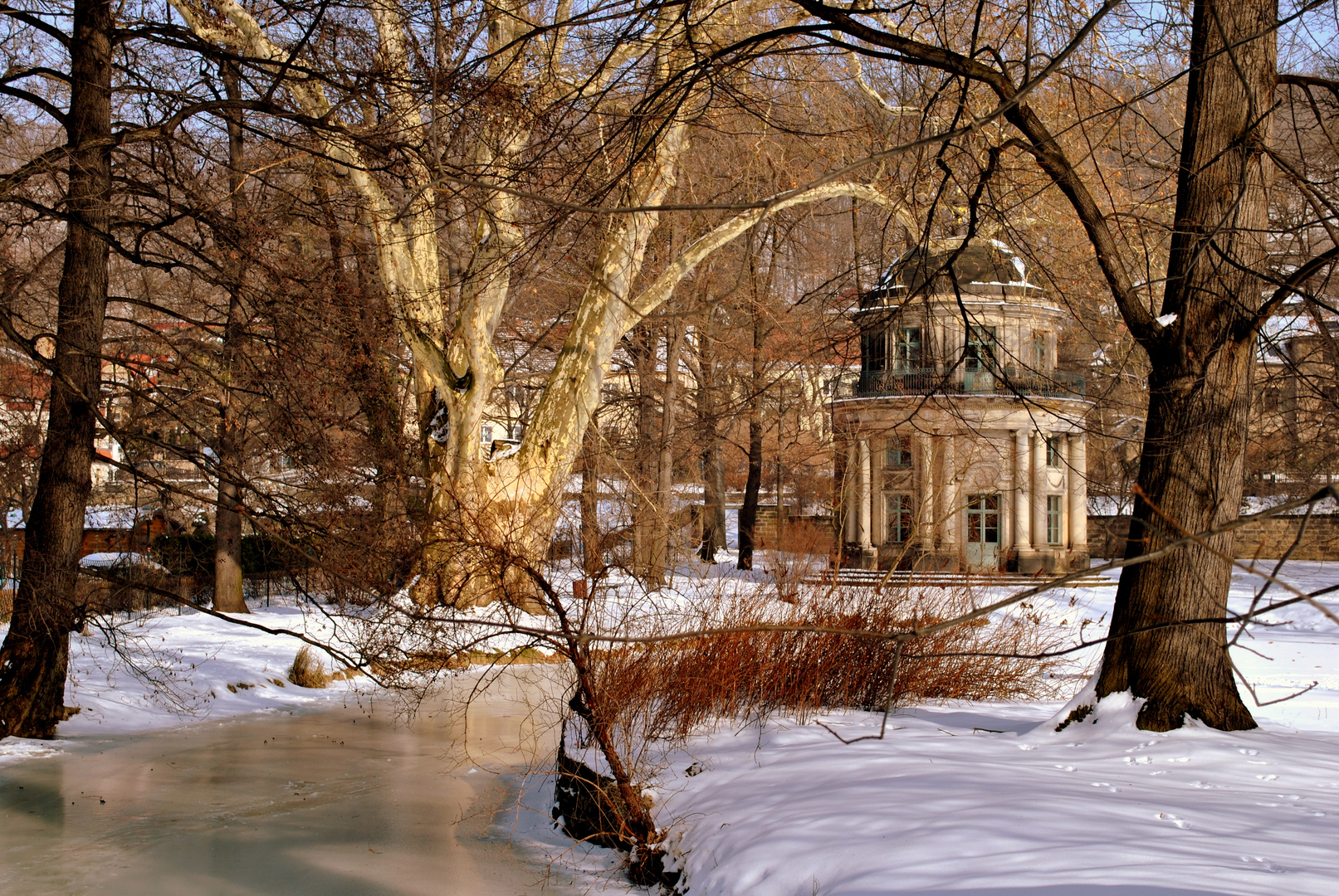 Kalter aber sonniger Moment im Schlosspark Pillnitz