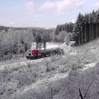 Kalter Einsatz im bayrischen Wald