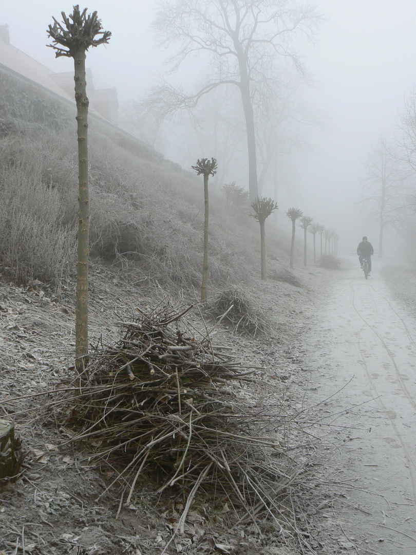 kalter frostiger morgen