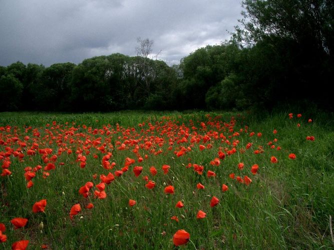 Kalter Frühling