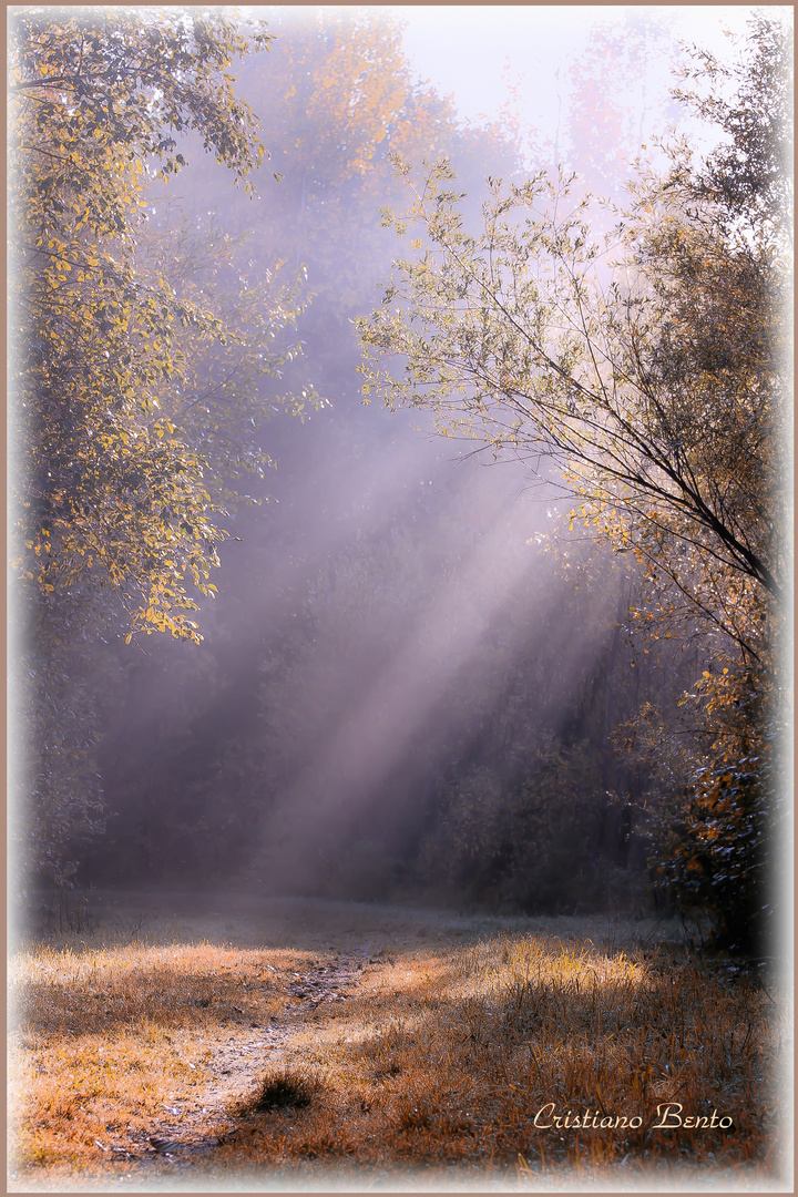 kalter Herbstmorgen