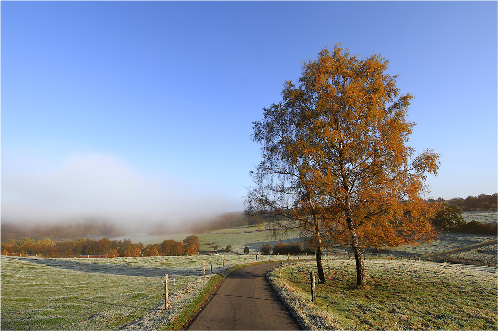 Kalter Herbstmorgen