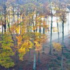 kalter Herbstmorgen / cold morning in autumn