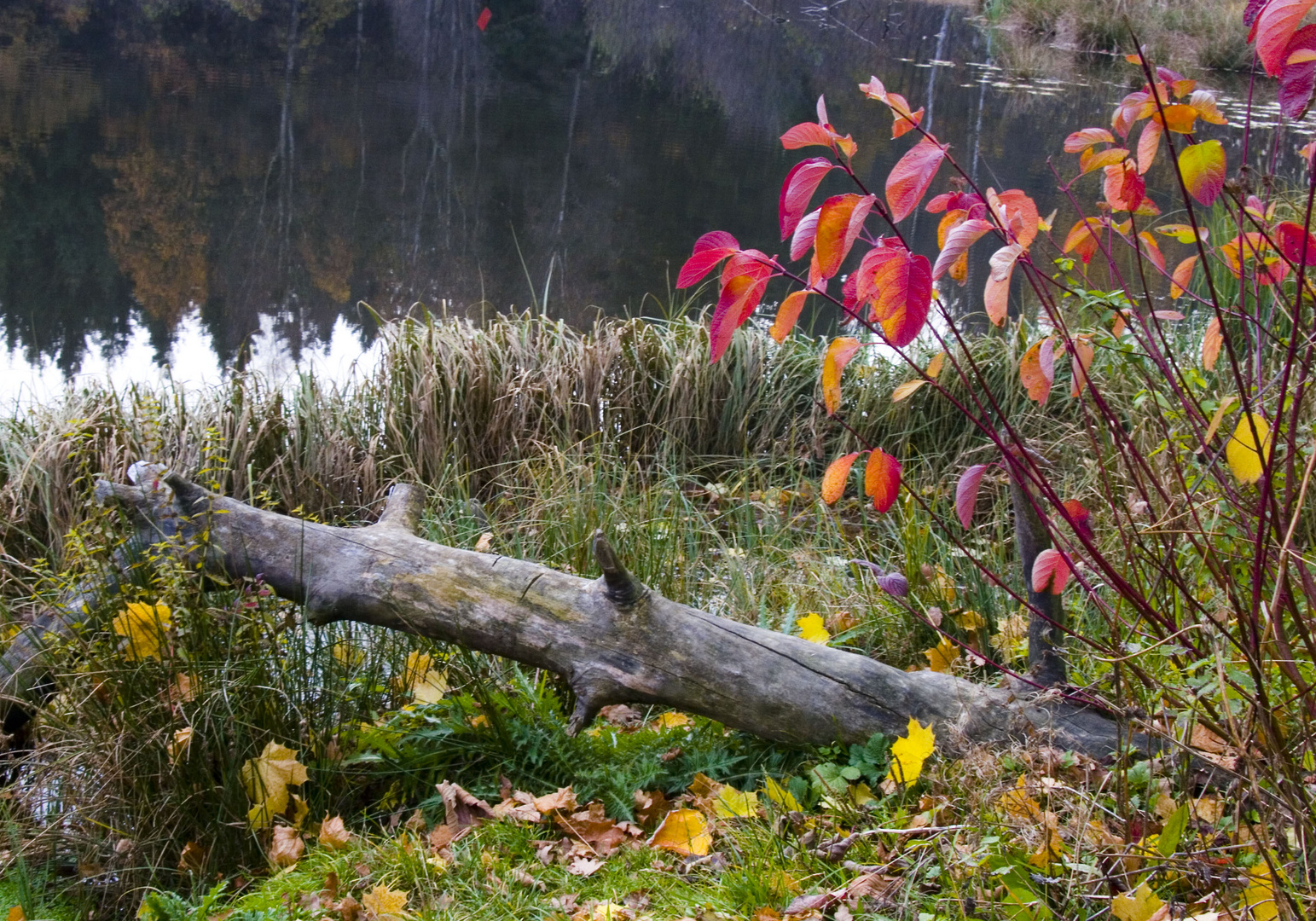 Kalter Herbsttag