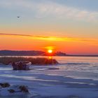 kalter Märzmorgen am Bodden