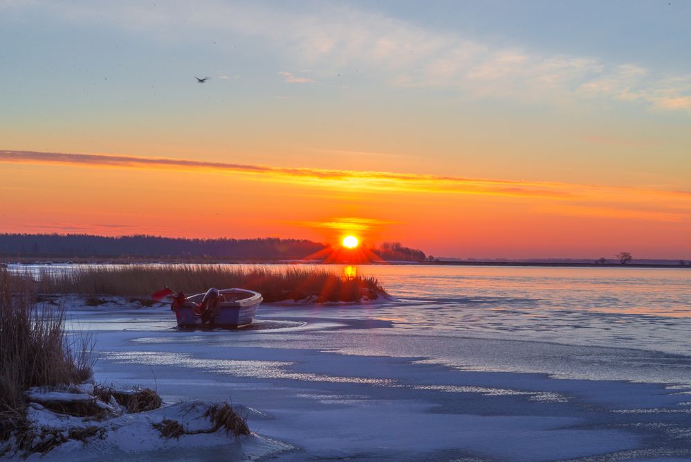 kalter Märzmorgen am Bodden