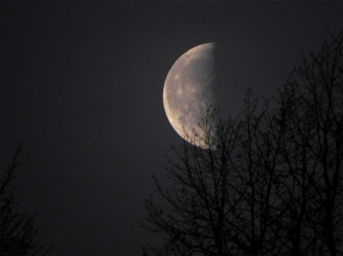 Kalter Mondschein