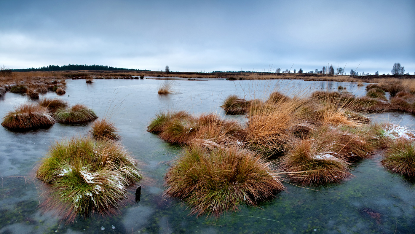 Kalter Moorsee