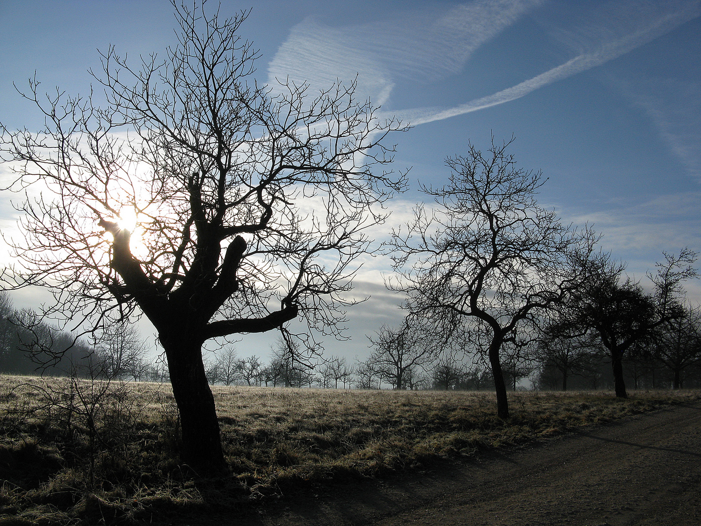 "kalter Morgen"