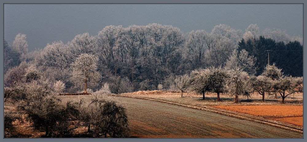 Kalter Morgen