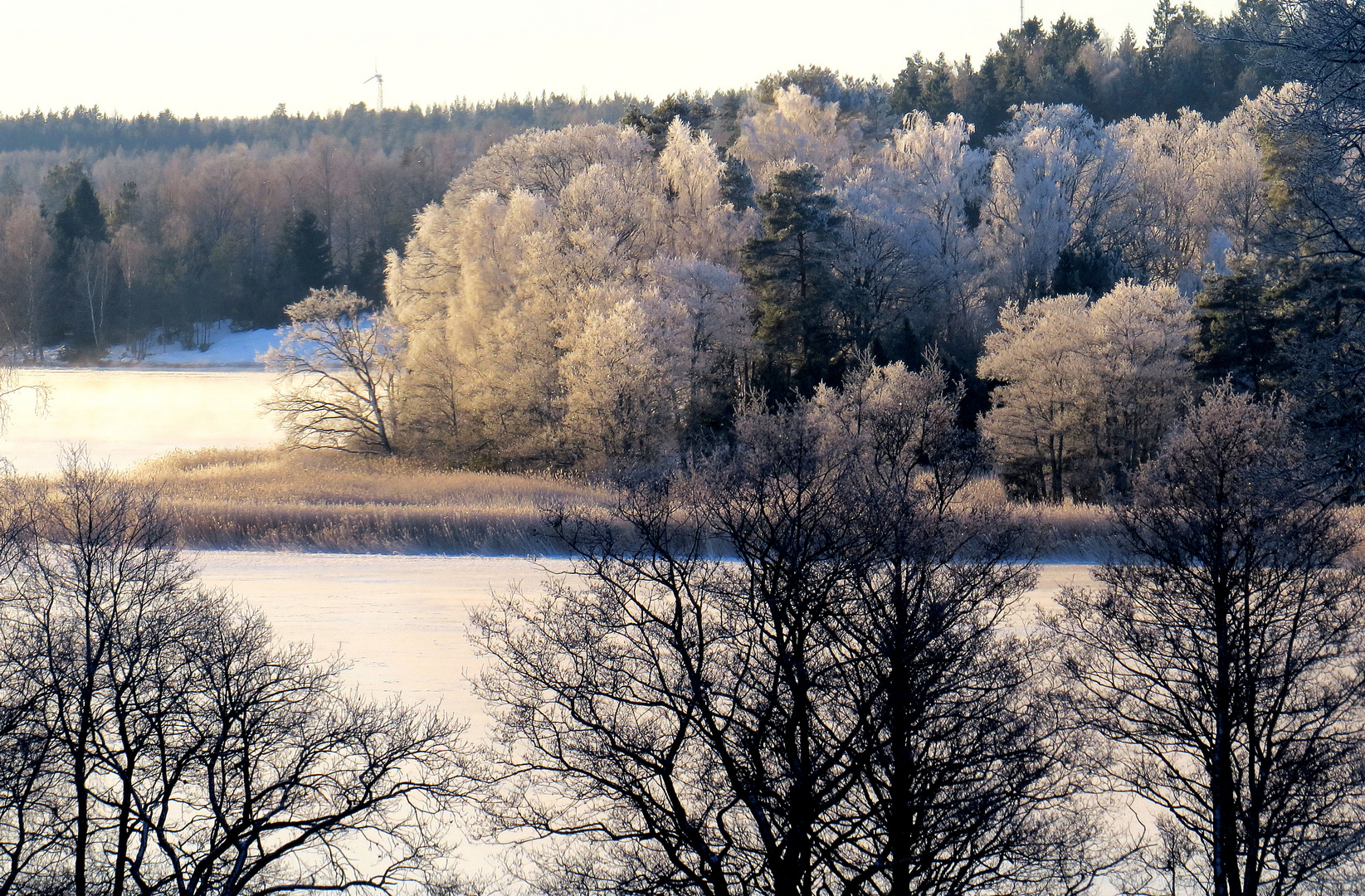 kalter Morgen am Fjord..............................