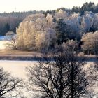 kalter Morgen am Fjord..............................