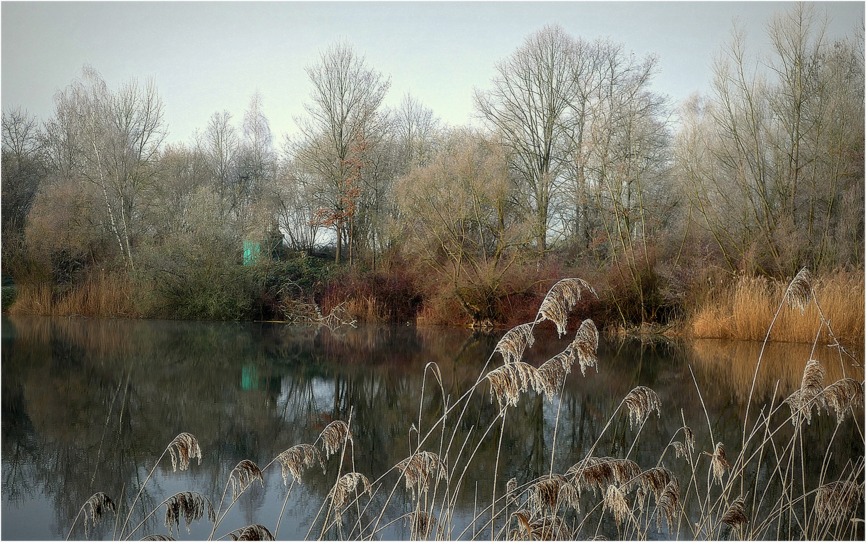 Kalter Morgen am Teich