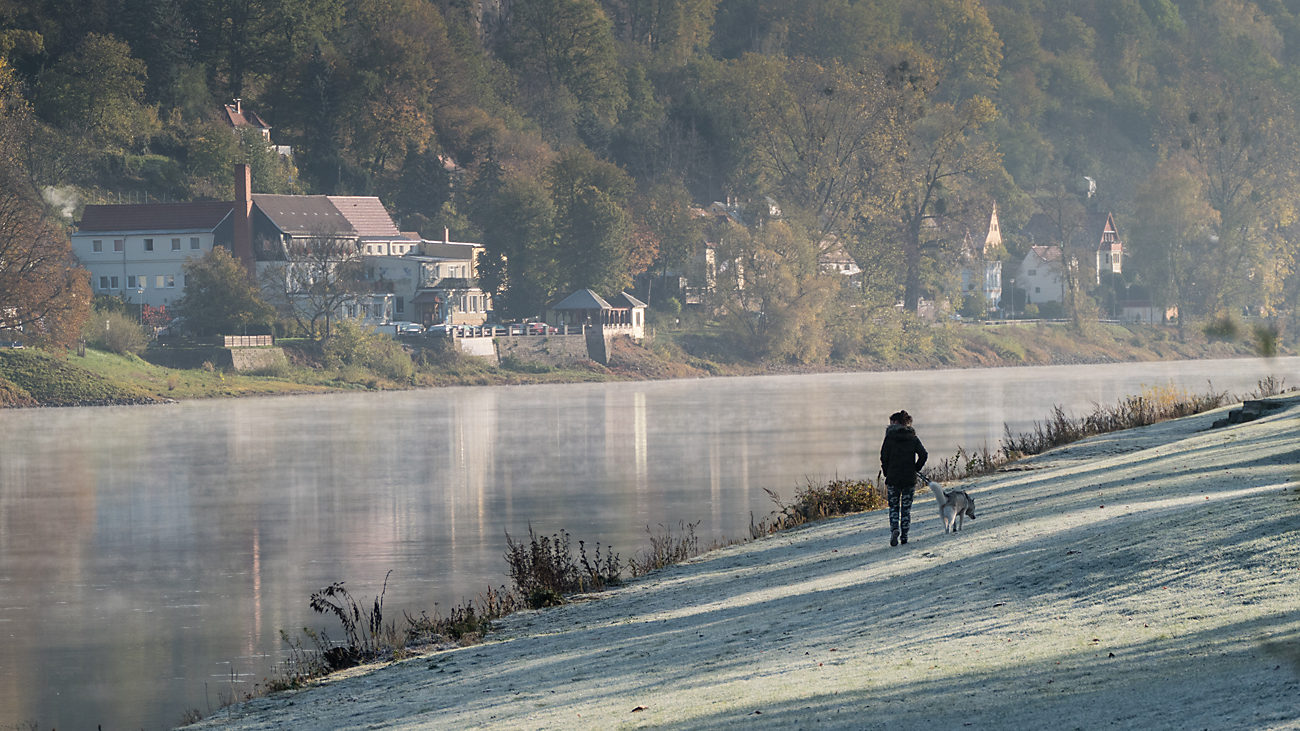 kalter Morgen an der Elbe