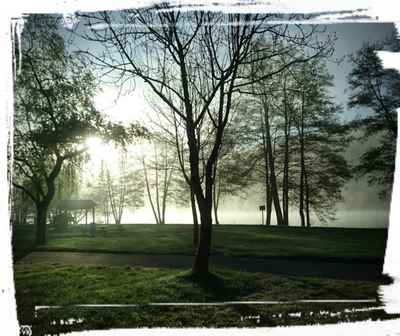 Kalter Morgen an der Mosel 