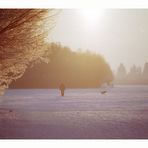 kalter Morgen für den Sonnenschein