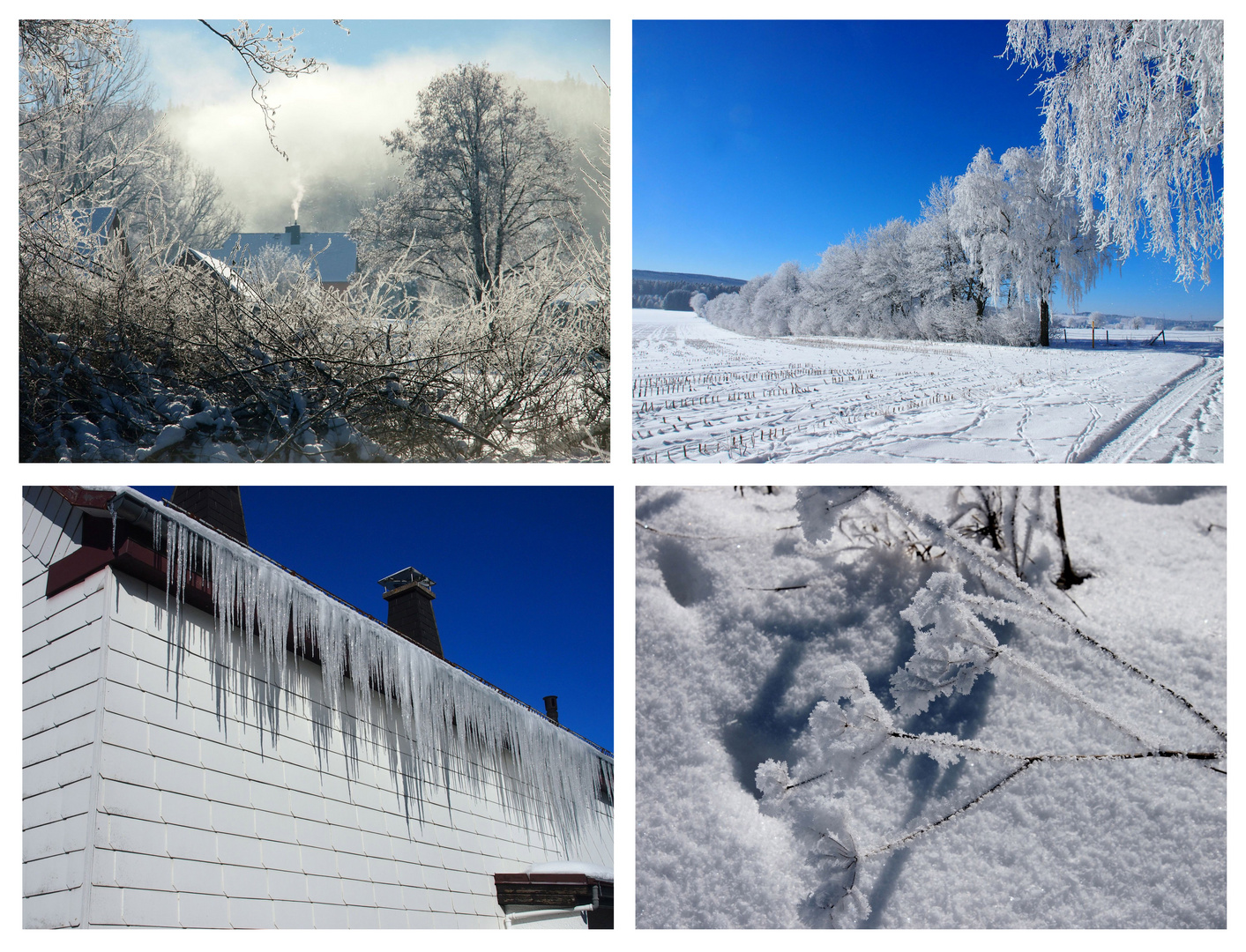 Kalter Morgen im Fichtelgebirge