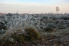 Kalter Morgen im Gildehauser Venn