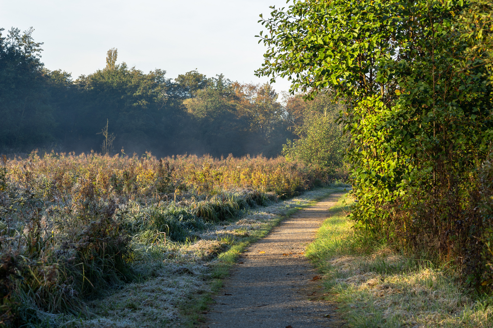 Kalter Morgen im Herbst