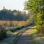 Kalter Morgen im Herbst