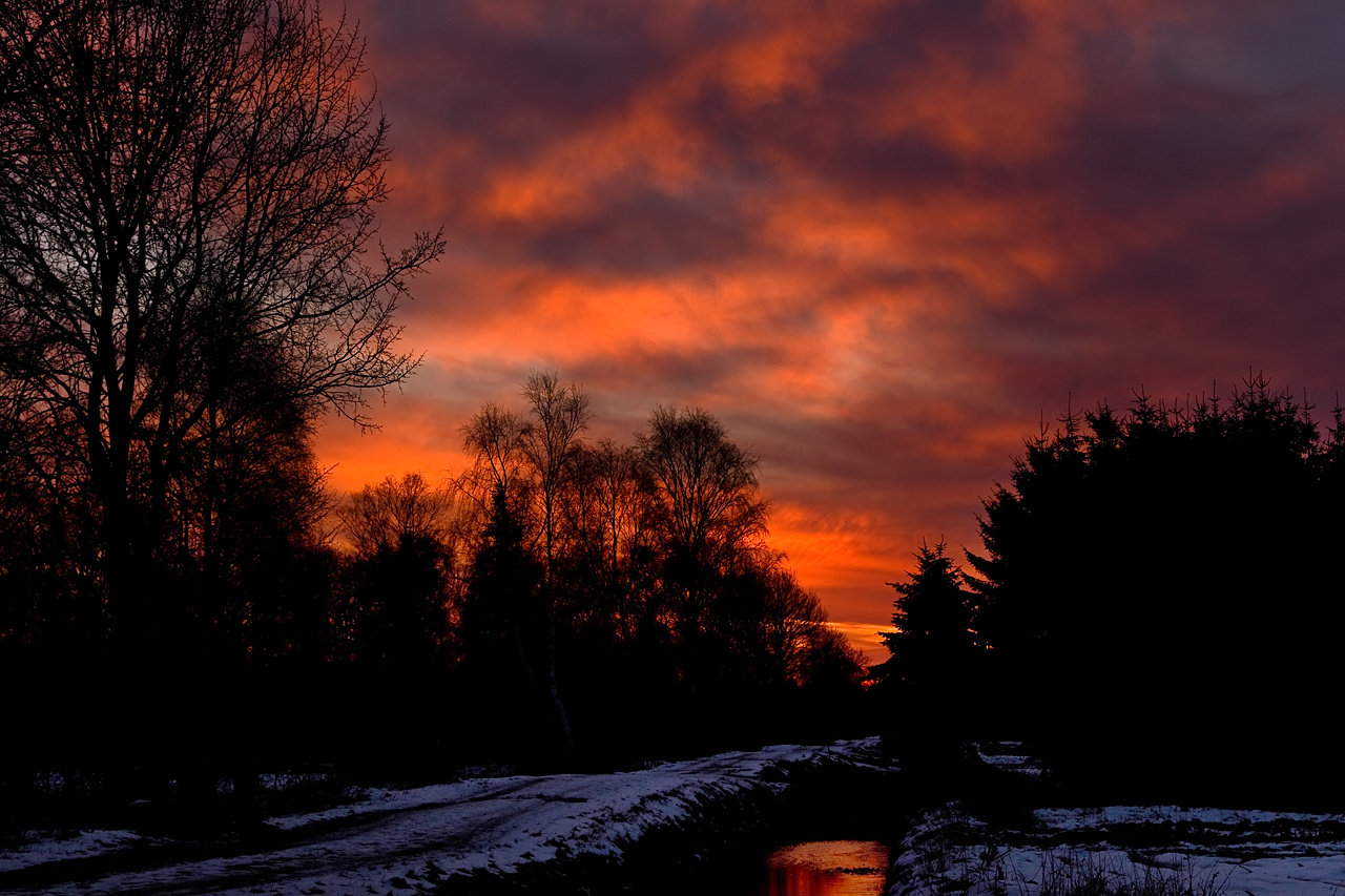 Kalter Morgen im Moor.