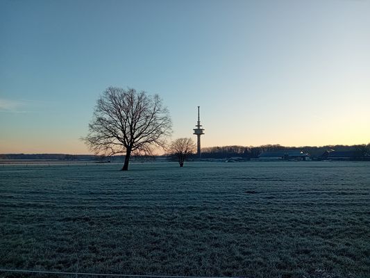 Kalter Morgen in Volmershoven/Heidgen